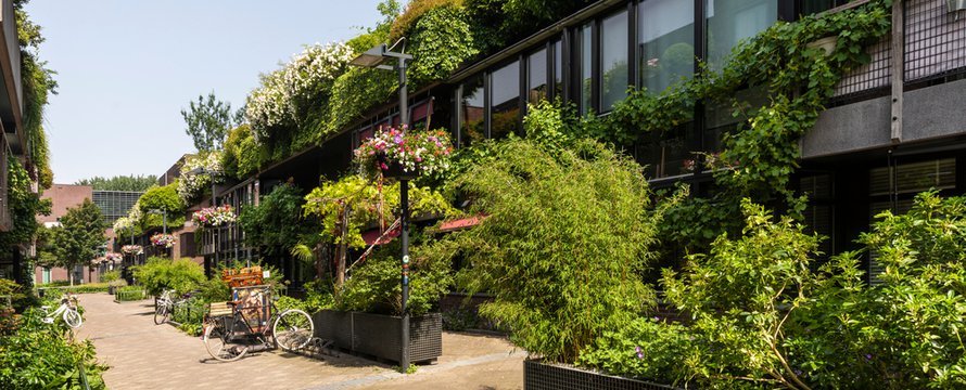 Groene straat in het centrum van Eindhoven