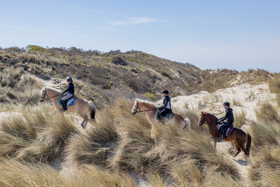 Renesse in Schouwen-Duiveland
