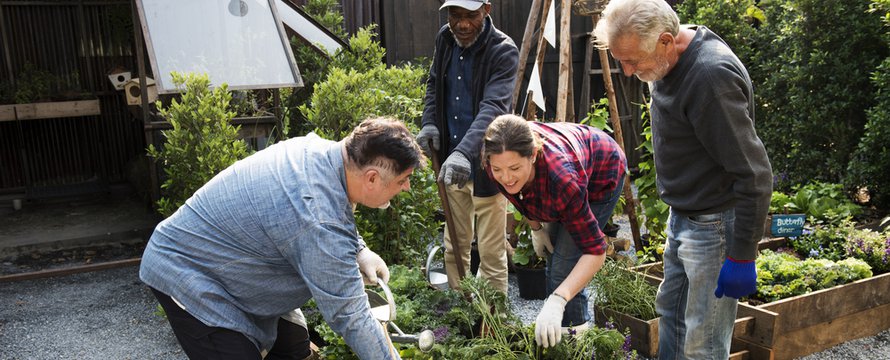 Samenwerkende bewoners in de moestuin