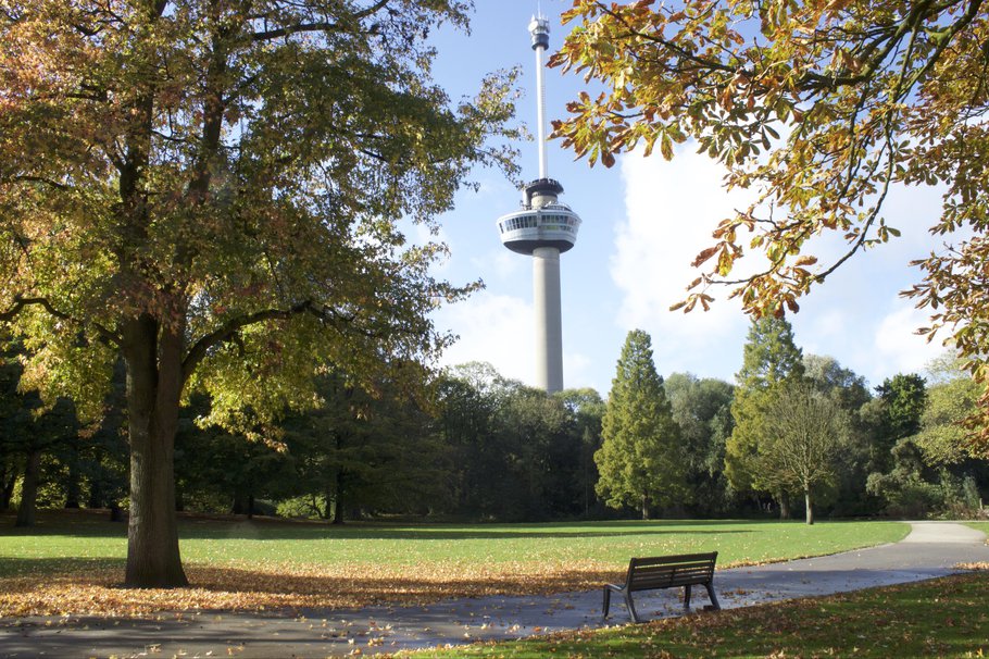 Erasmuspark, Rotterdam
