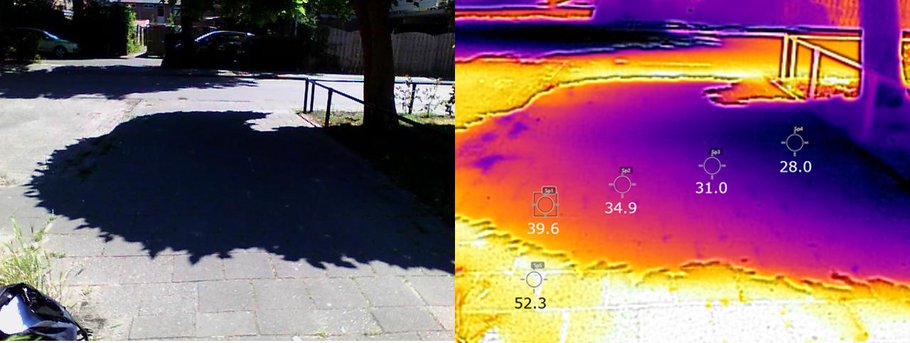 Hitte rondom boomschaduw (Wageningen UR, Cor Jacobs)