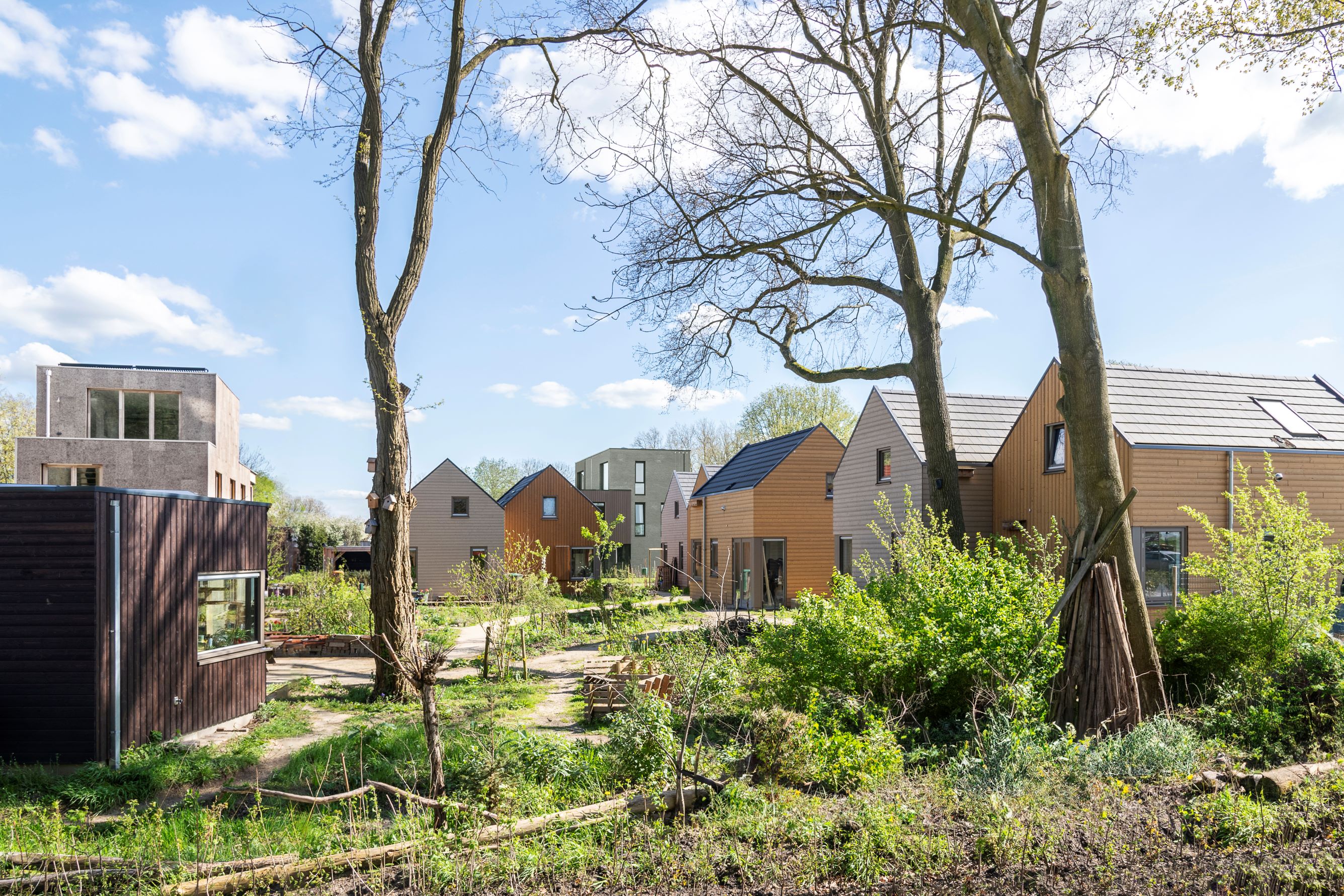 Landschappelijk klein wonen met elkaar, zo ontwerpt Woonpioniers dat