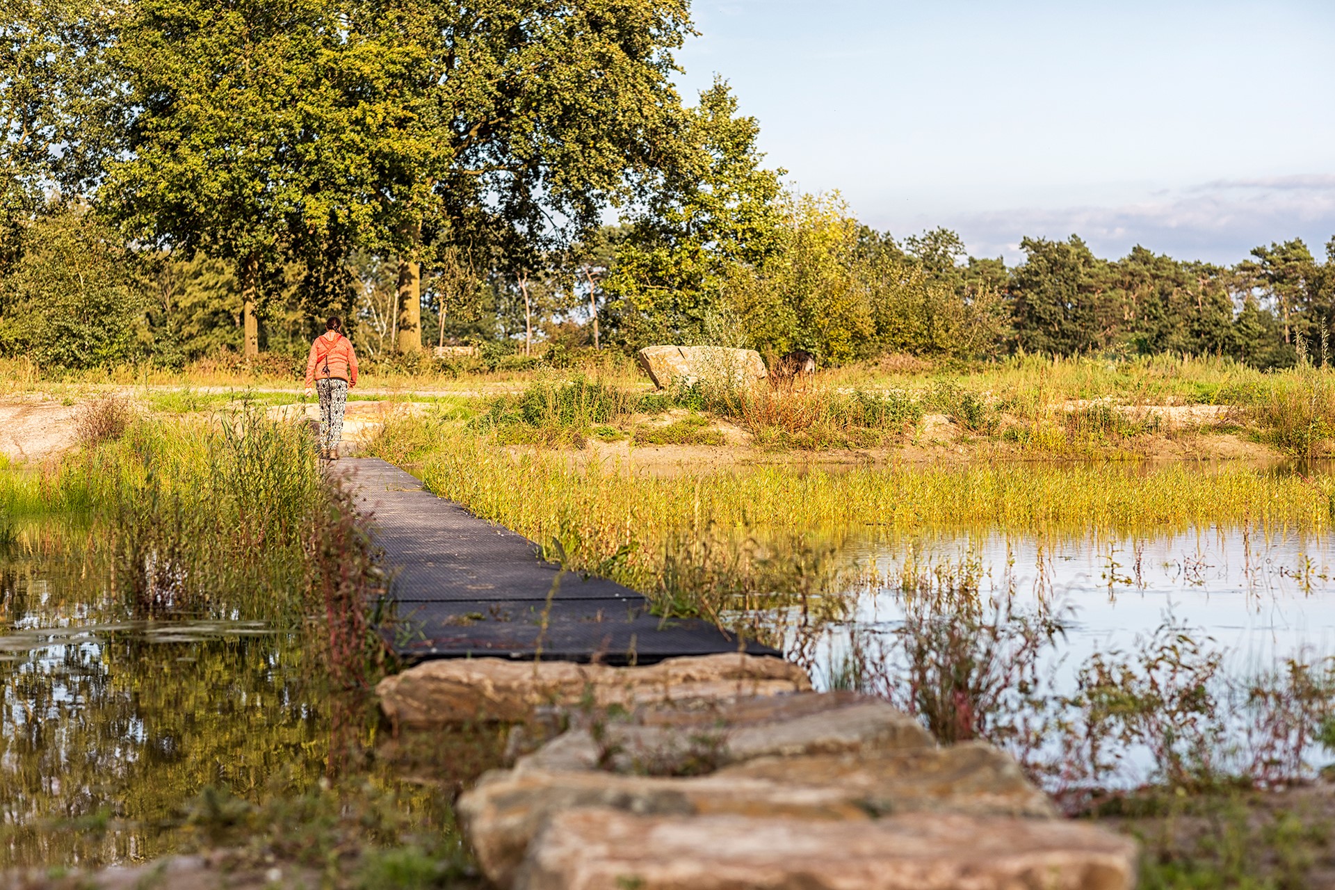 De lessen van de Gouden Piramide (deel 2): groen, water, cultuur, geschiedenis en landschap