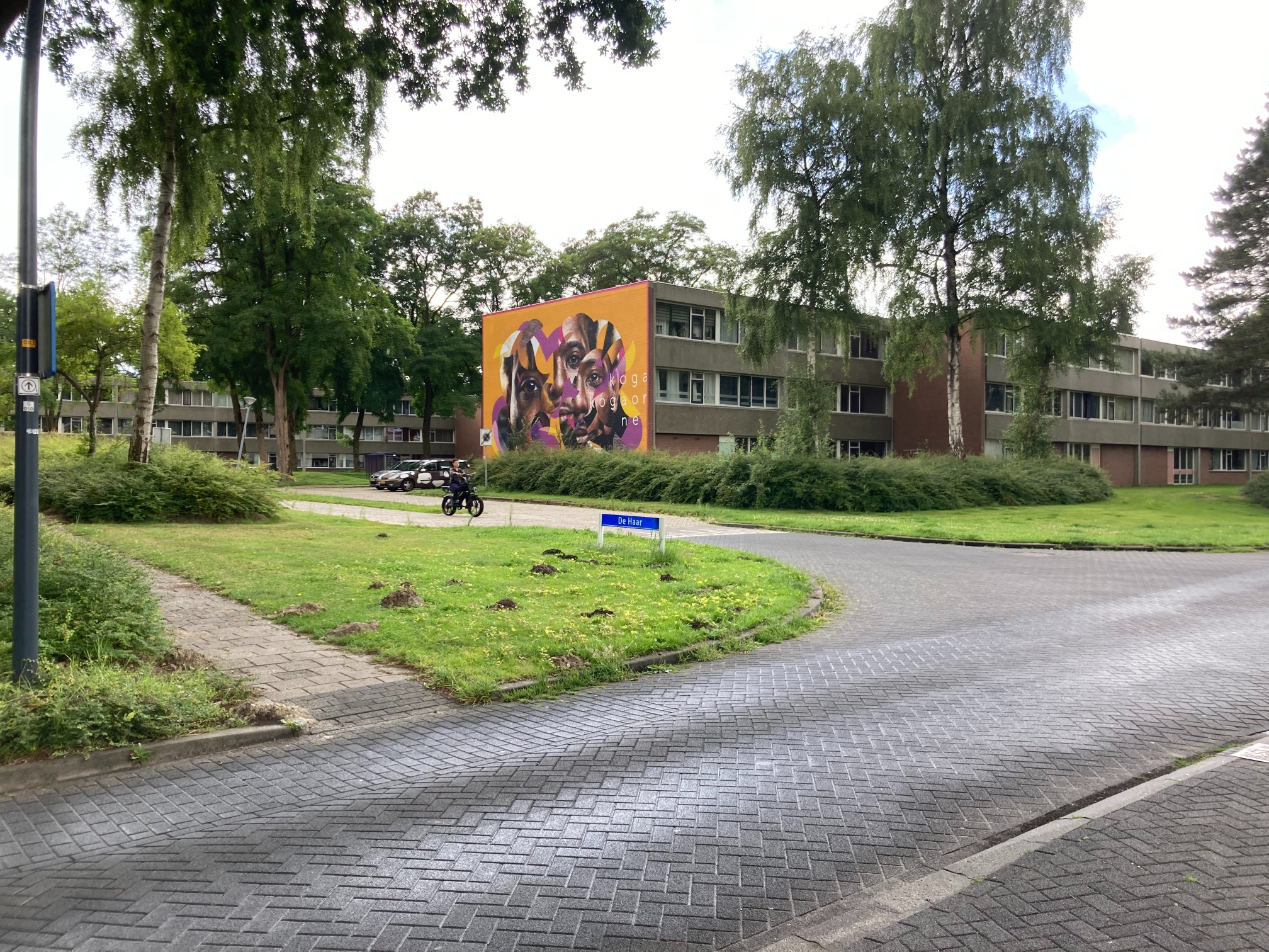 Erfgoed en leefbaarheid: over alledaags erfgoed in Utrecht en Emmen