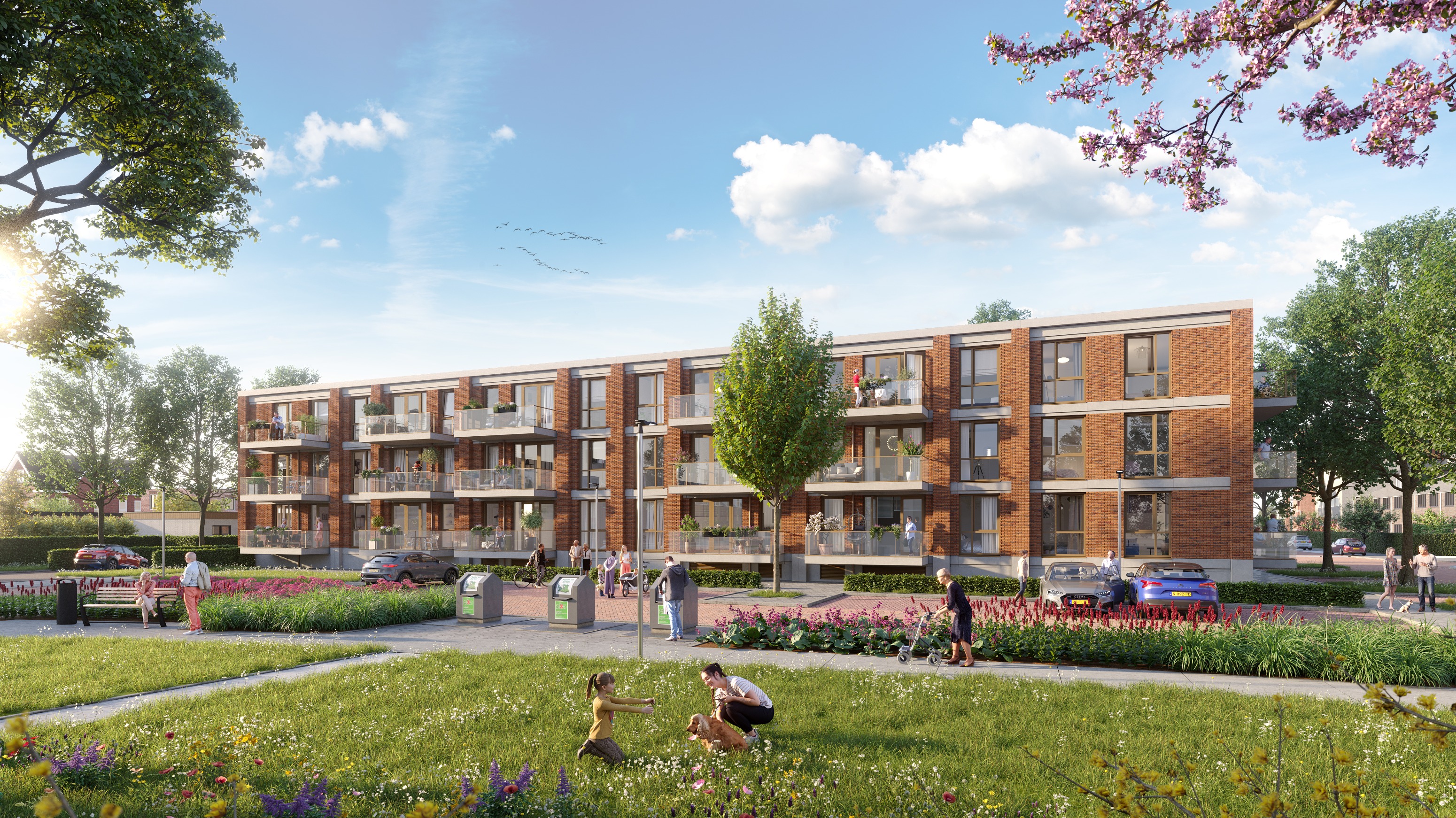 Ontwikkelen voor ouderen met een zwaardere zorgvraag, zo doet AM dat