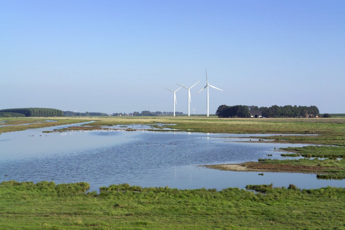 Gebiedsontwikkeling voor een duurzaam Goeree-Overflakkee