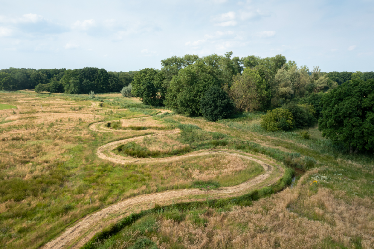 Van krom naar recht en weer naar krom, Brabants beekherstel doet het landschap goed